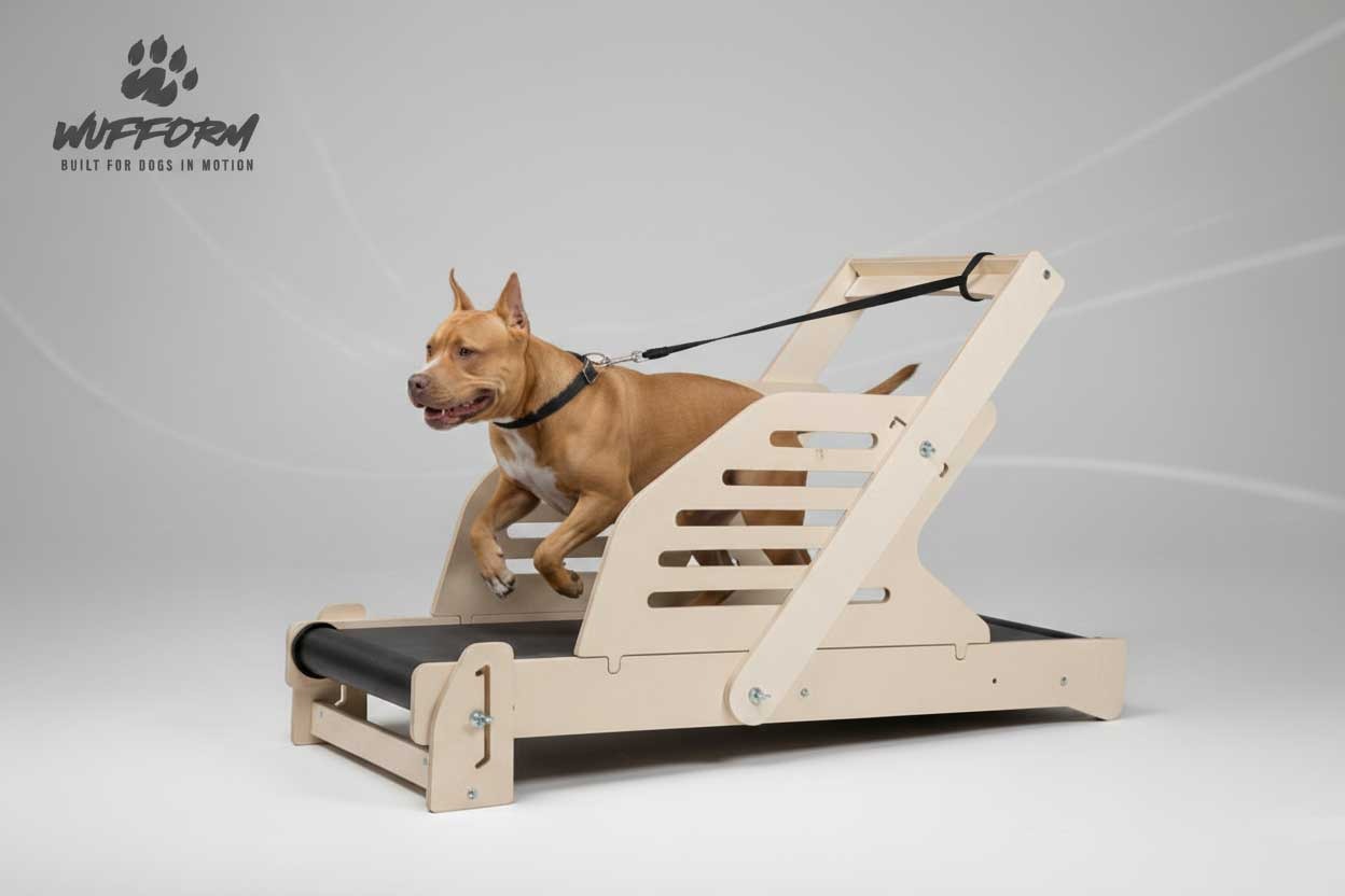 WUFFORM Runmill Performance dog treadmill